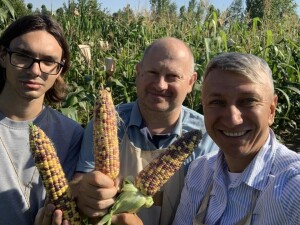 Наукова проблемна група з сортовивчення та селекції вітчизняних і зарубіжних сортів і гібридів кормової та цукрової кукурудзи