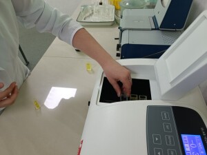 Фізіологія рослин