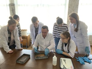 ОСВІТА
