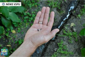 Марафон відповідальності
