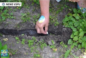 Марафон відповідальності