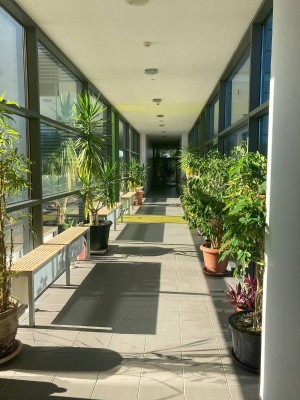 Міжнародна літня школа «Administrative Services of the University»