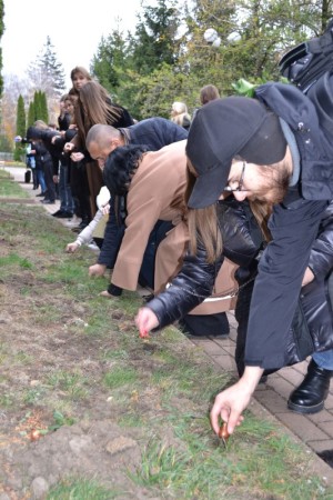 Нідерландсько – Український проєкт «Алеї пам’яті героїв війни»