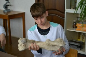 Заняття за модулем «Зоологія»