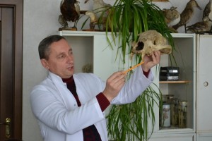 Заняття за модулем «Зоологія»