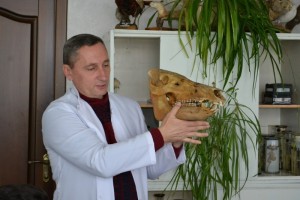 Заняття за модулем «Зоологія»