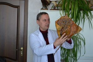 Заняття за модулем «Зоологія»