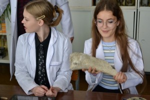 Заняття за модулем «Зоологія»