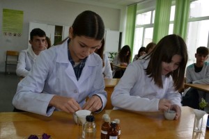 Заняття за модулем «Зоологія»