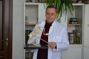 Заняття за модулем «Зоологія»