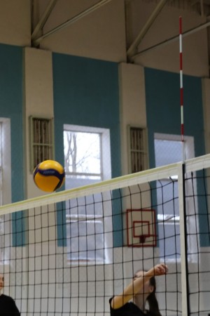 Змагання на першість університету з волейболу